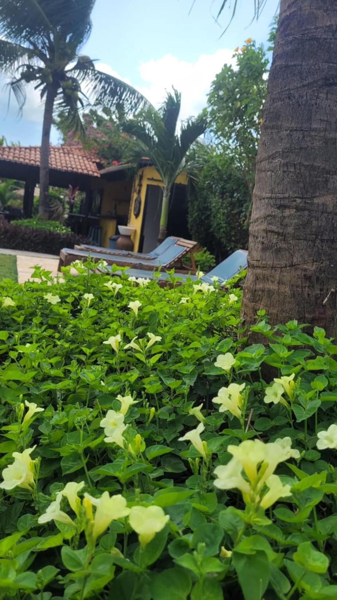 Pousada Ello Sao Miguel do Gostoso Ngoại thất bức ảnh